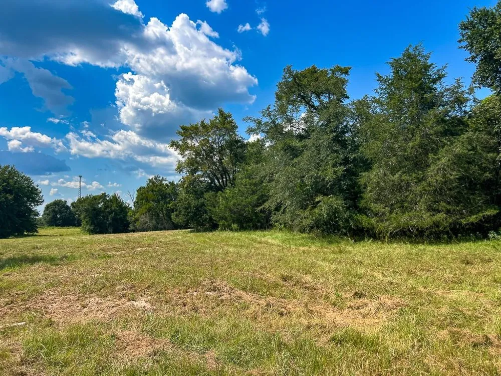 1957 County Road 155 Bedias, TX 77831