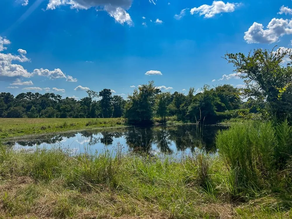 1957 County Road 155 Bedias, TX 77831