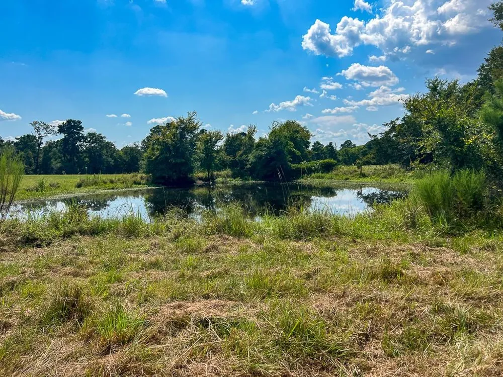 1957 County Road 155 Bedias, TX 77831