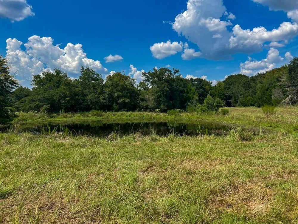 1957 County Road 155 Bedias, TX 77831