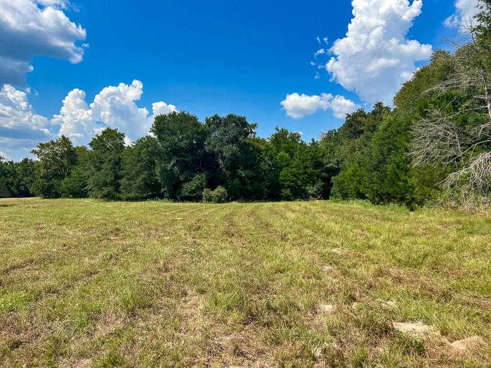 1957 County Road 155 Bedias, TX 77831