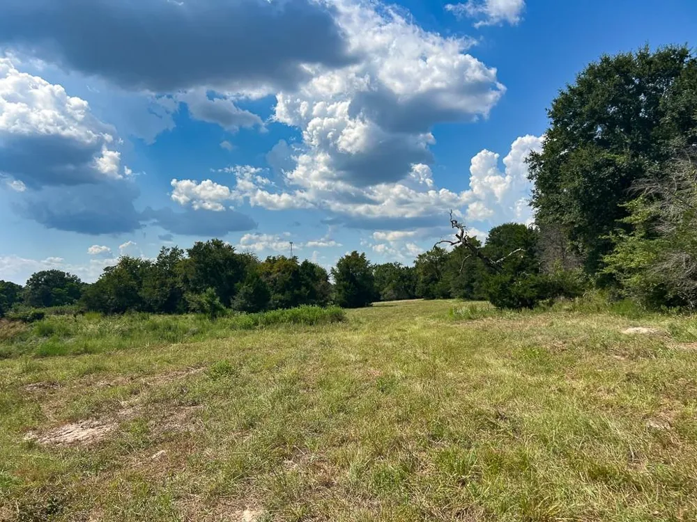 1957 County Road 155 Bedias, TX 77831