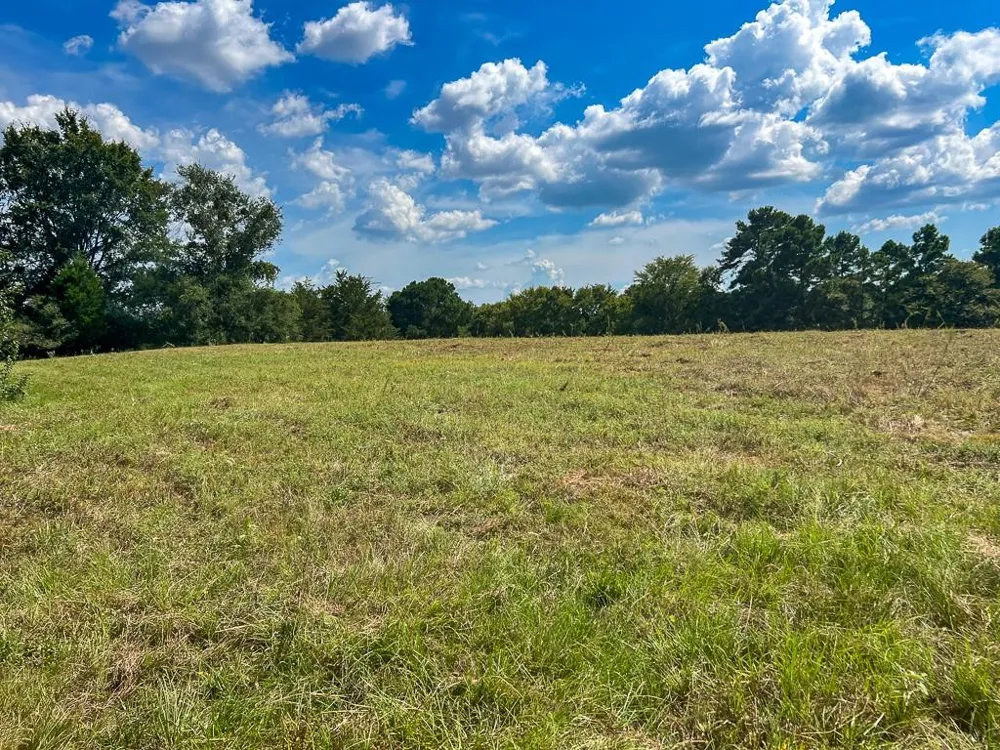 1957 County Road 155 Bedias, TX 77831