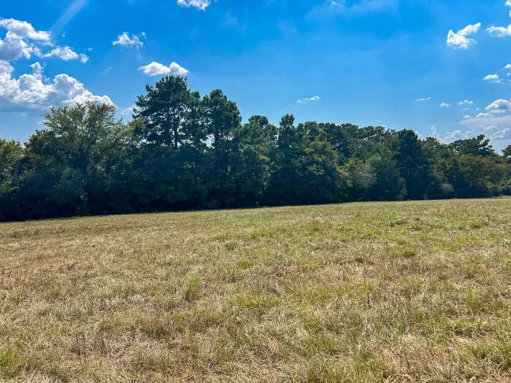 1957 County Road 155 Bedias, TX 77831