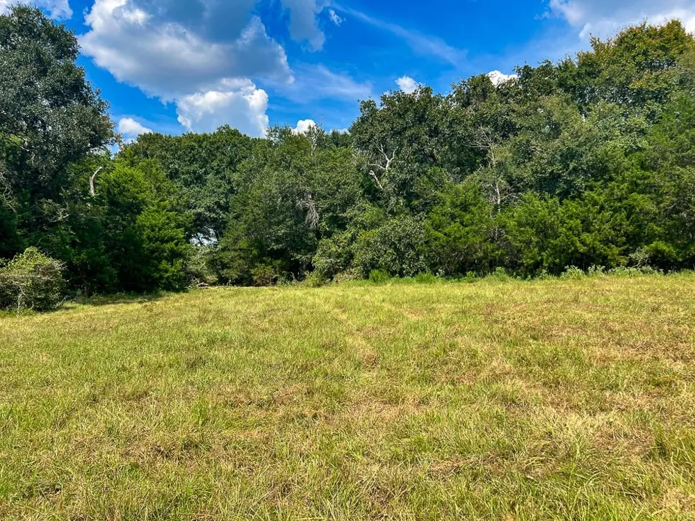 1957 County Road 155 Bedias, TX 77831