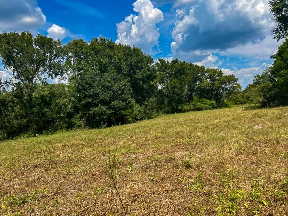 1957 County Road 155 Bedias, TX 77831