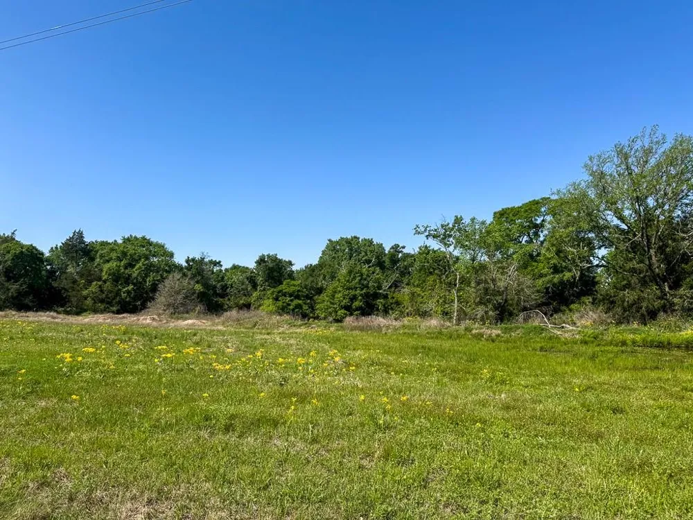 1957 County Road 155 Bedias, TX 77831