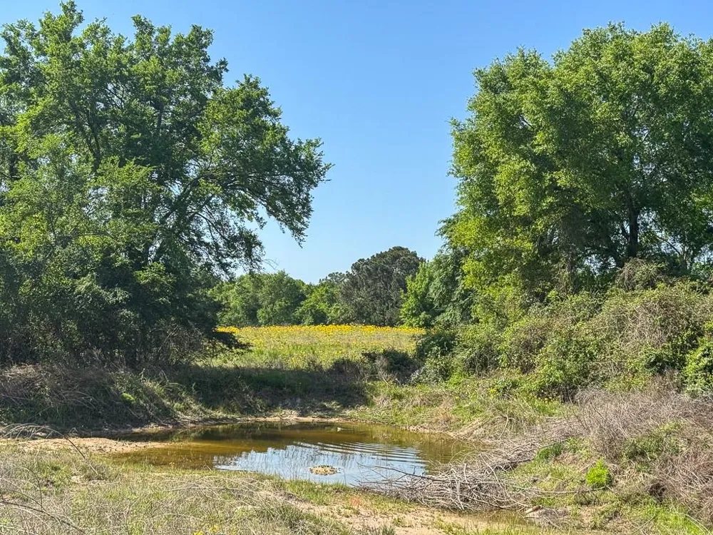 1957 County Road 155 Bedias, TX 77831