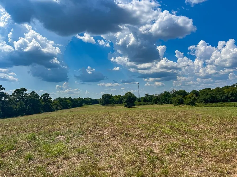 1957 County Road 155 Bedias, TX 77831