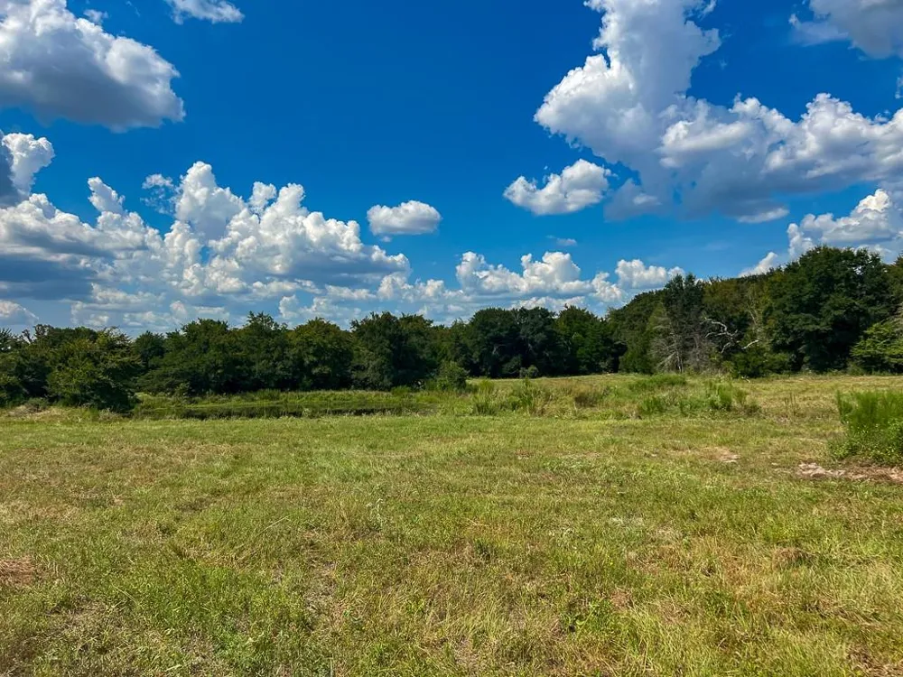 1957 County Road 155 Bedias, TX 77831