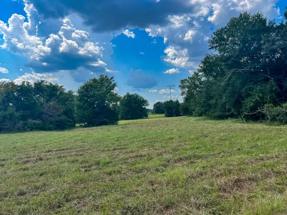 1957 County Road 155 Bedias, TX 77831