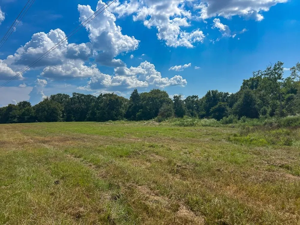 1957 County Road 155 Bedias, TX 77831