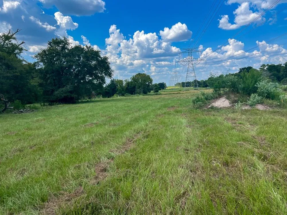 1957 County Road 155 Bedias, TX 77831