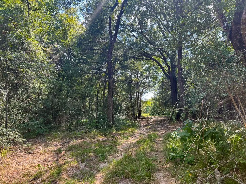 1957 County Road 155 Bedias, TX 77831