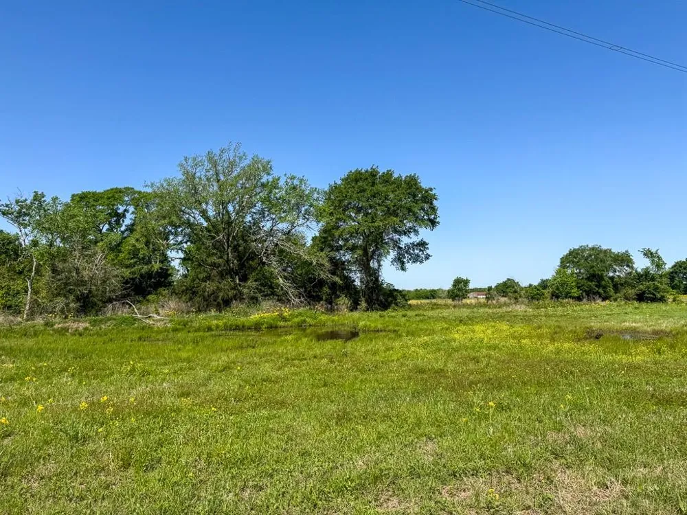 1957 County Road 155 Bedias, TX 77831