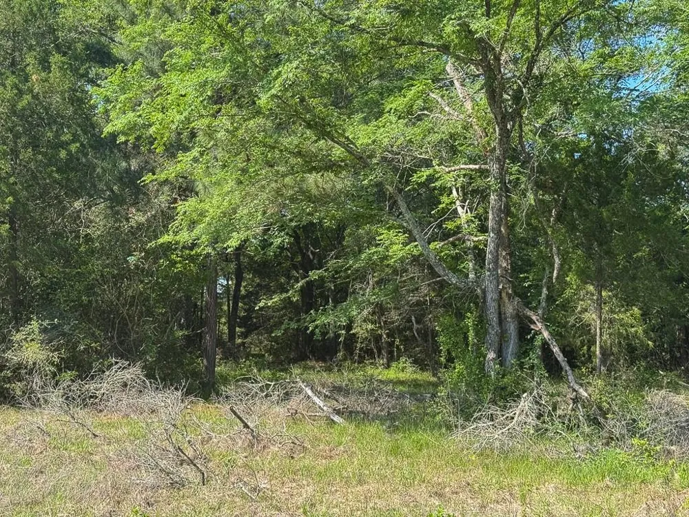 1957 County Road 155 Bedias, TX 77831