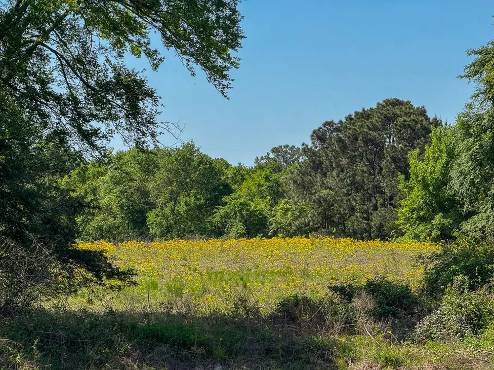 1957 County Road 155 Bedias, TX 77831