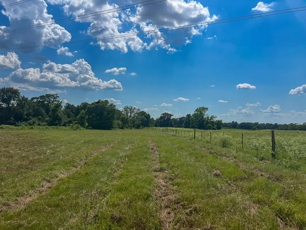1957 County Road 155 Bedias, TX 77831