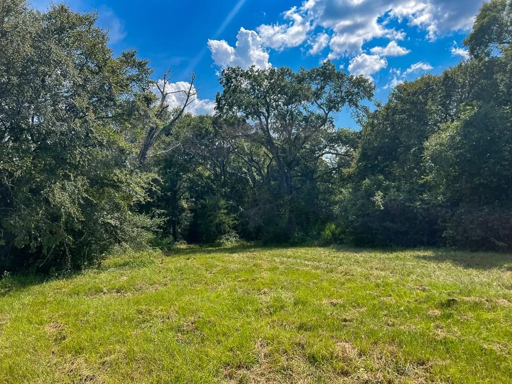 1957 County Road 155 Bedias, TX 77831