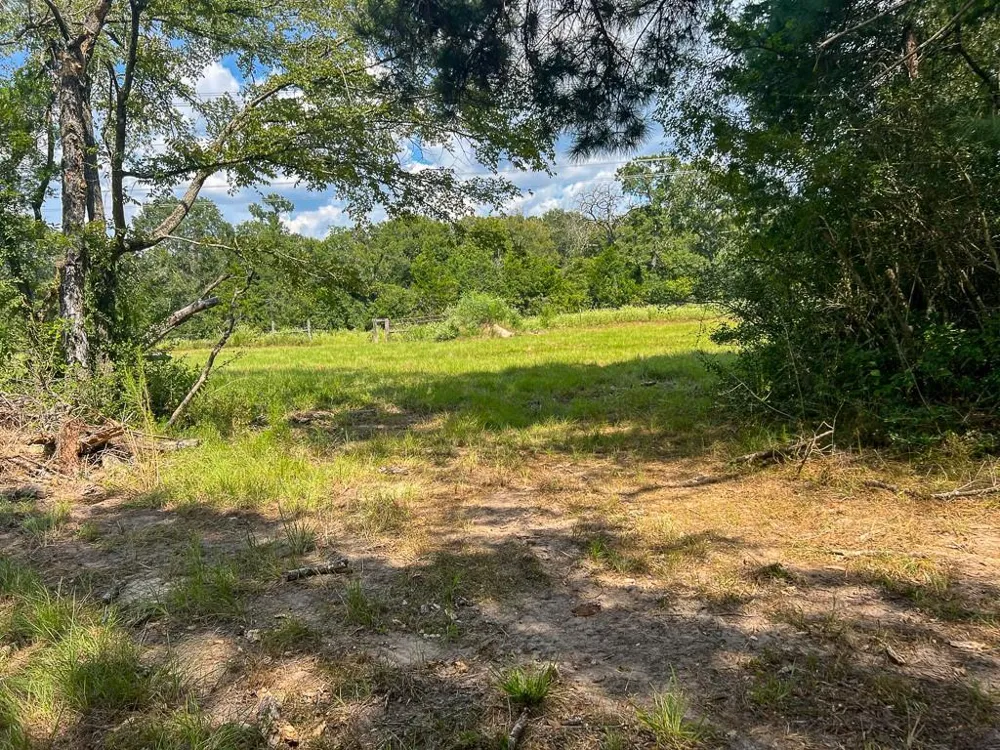 1957 County Road 155 Bedias, TX 77831