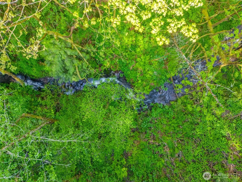 0 XXX SE 362nd Avenue Washougal, WA 98671