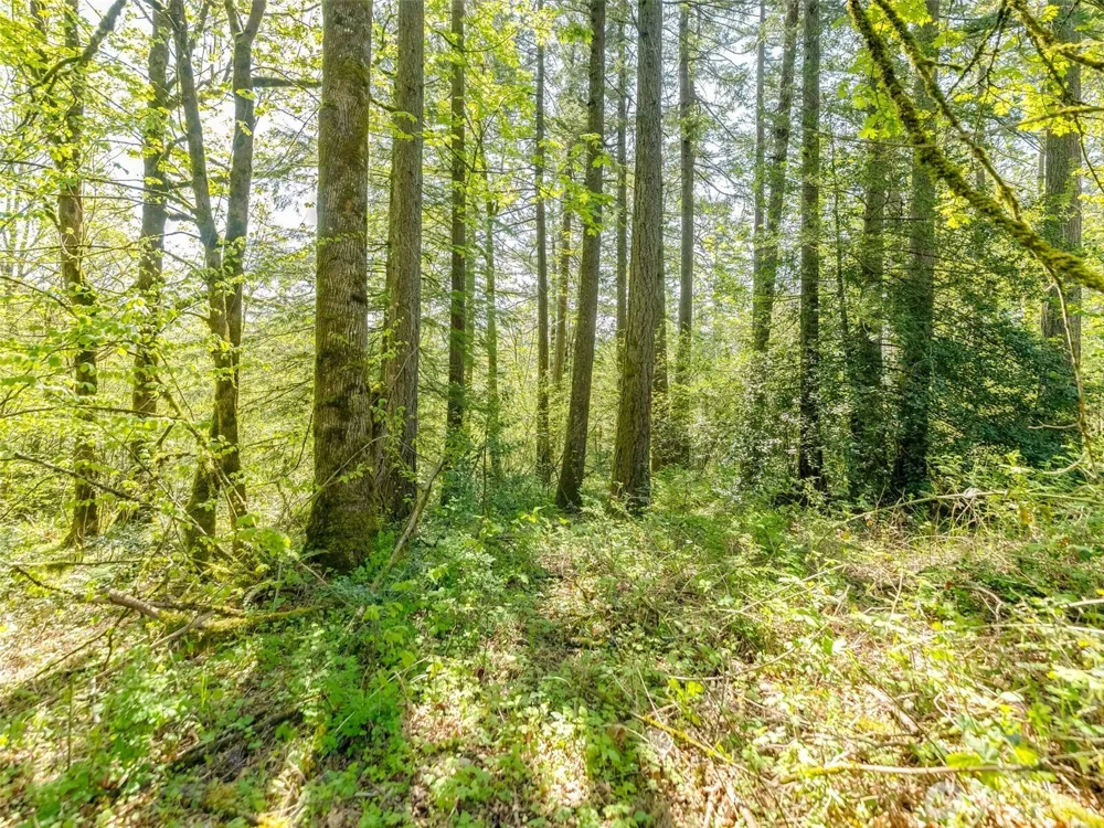 0 XXX SE 362nd Avenue Washougal, WA 98671