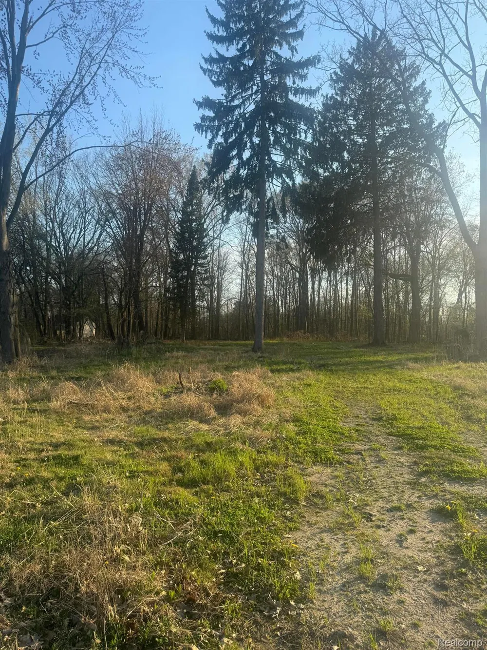 24960 CROCKER BOULEVARD Harrison Charter Township, MI 48045
