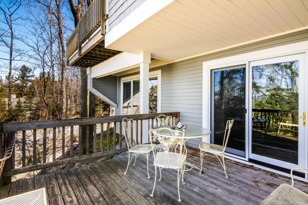 1995 San Marino Trail Torch Lake Township, MI 49648