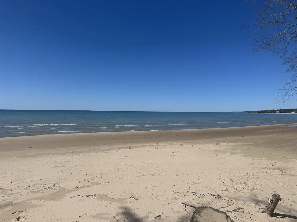 1995 San Marino Trail Torch Lake Township, MI 49648