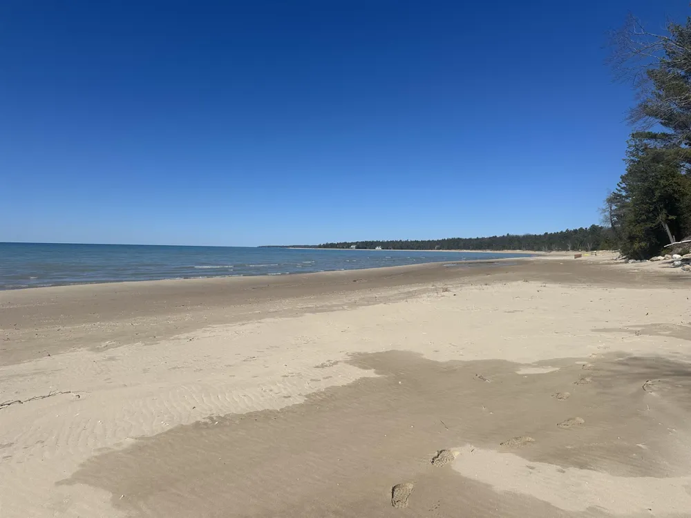 1995 San Marino Trail Torch Lake Township, MI 49648
