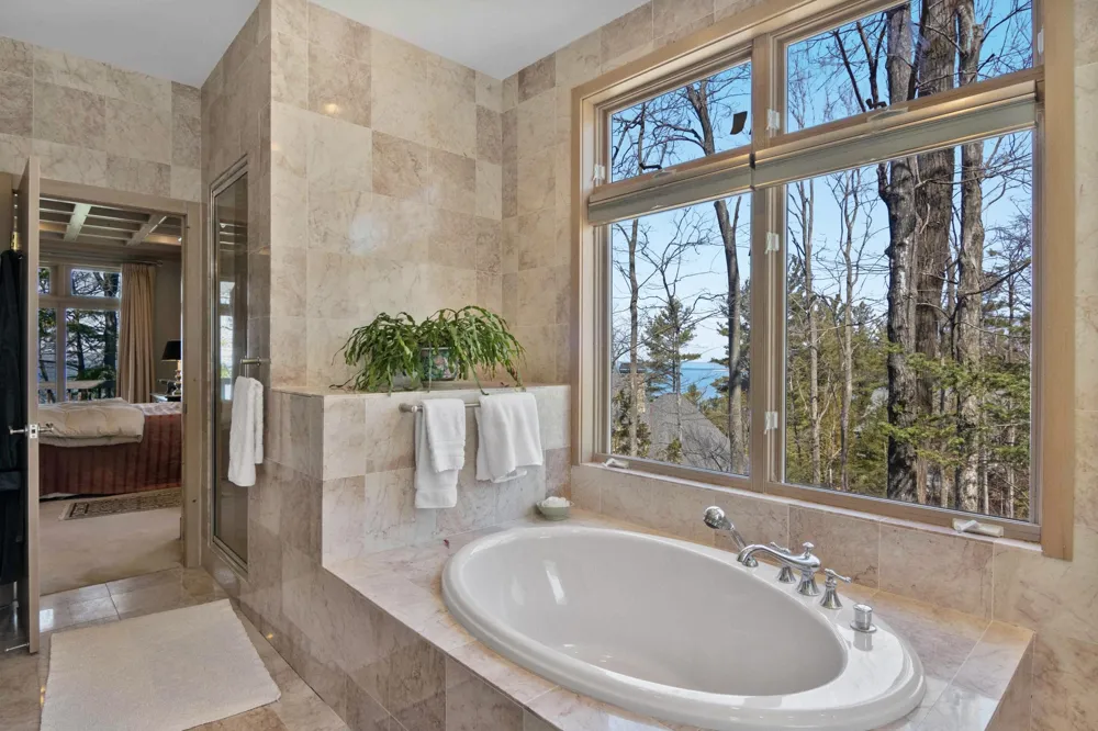 1995 San Marino Trail Torch Lake Township, MI 49648
