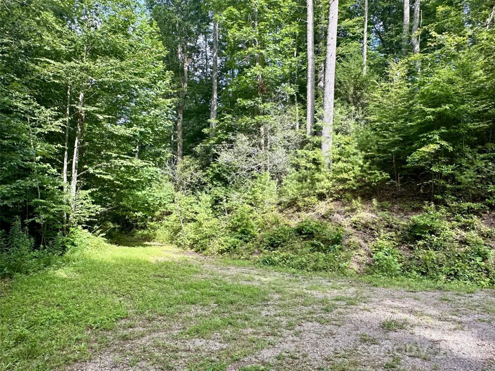 13 Wildlife Drive #13 Clyde, NC 28721