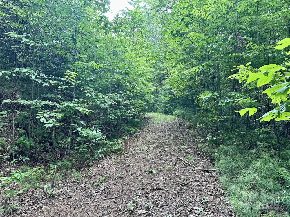 13 Wildlife Drive #13 Clyde, NC 28721