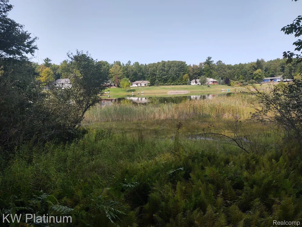 9552 FAWN LAKE DRIVE Morton Township, MI 49346