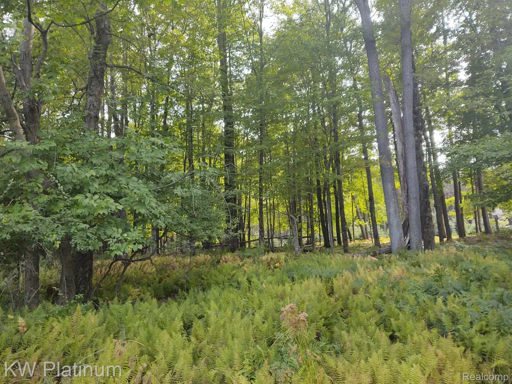 9552 FAWN LAKE DRIVE Morton Township, MI 49346