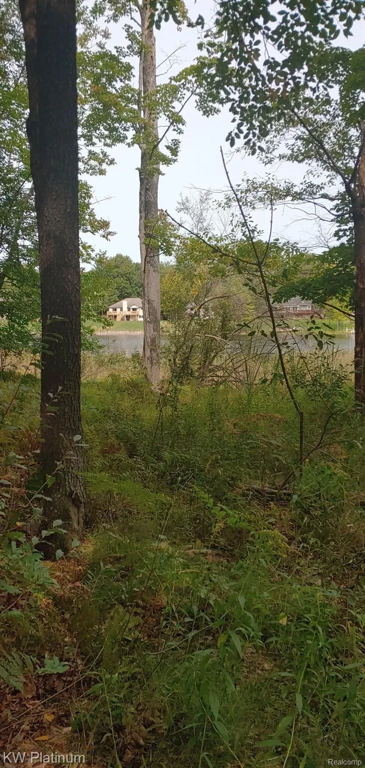 9552 FAWN LAKE DRIVE Morton Township, MI 49346