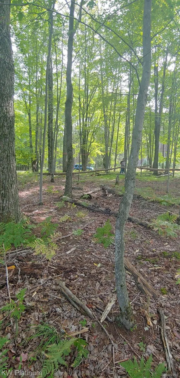 9552 FAWN LAKE DRIVE Morton Township, MI 49346