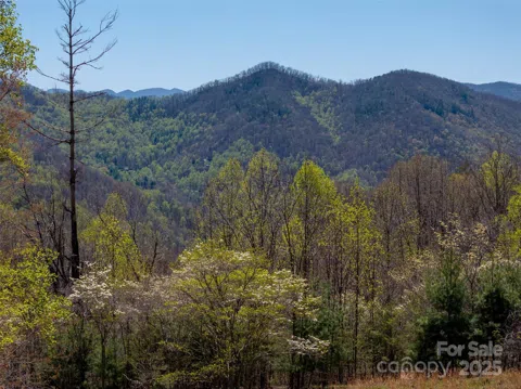 318 Brown Mountain Drive