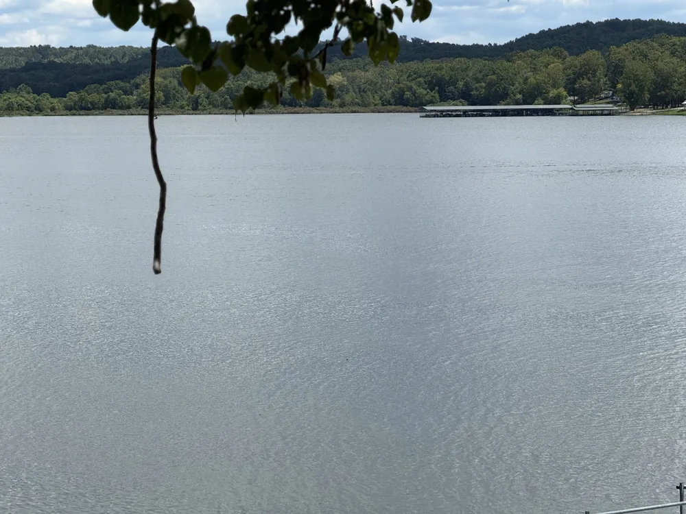 11175 Highway 147 Stewart, TN 37175