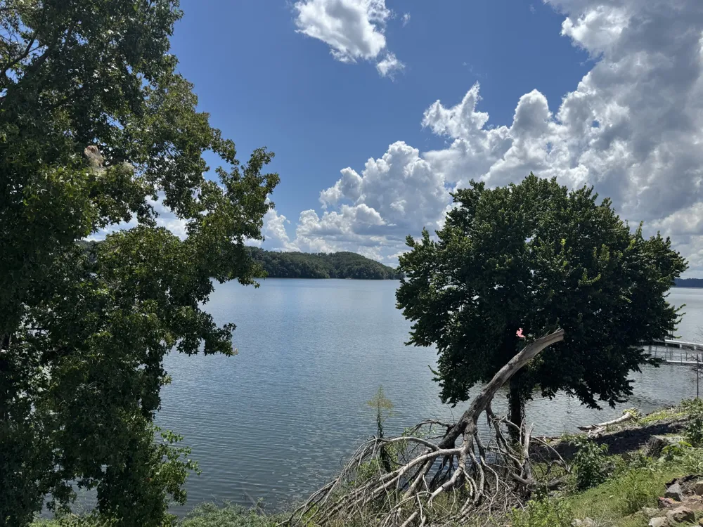 11175 Highway 147 Stewart, TN 37175