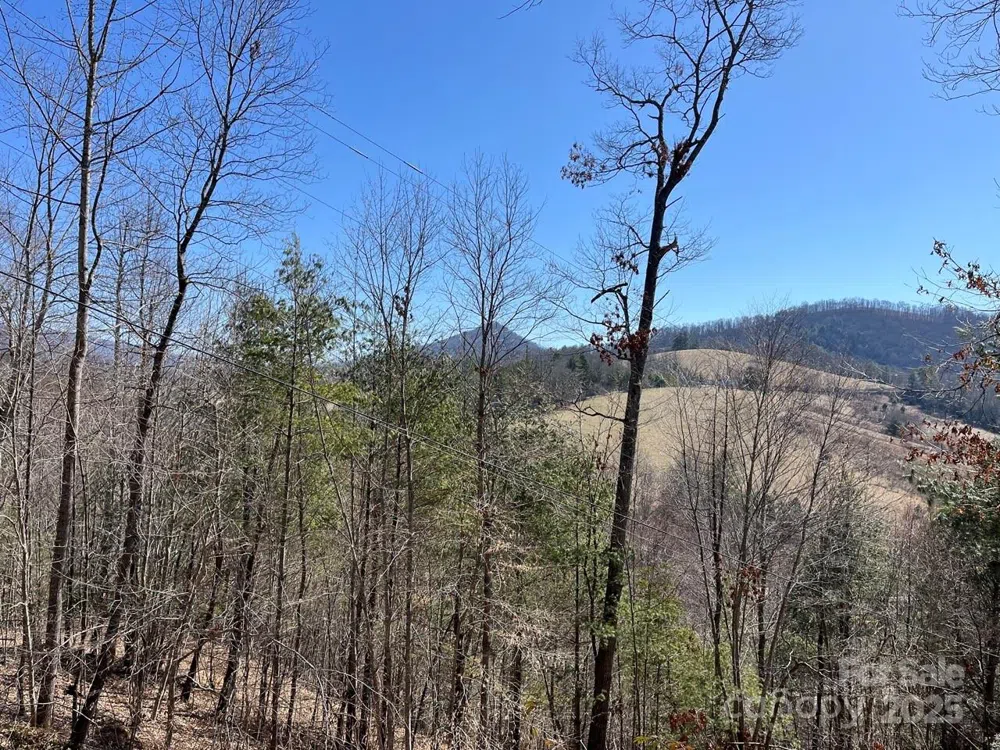 000 Trinity Place Burnsville, NC 28714