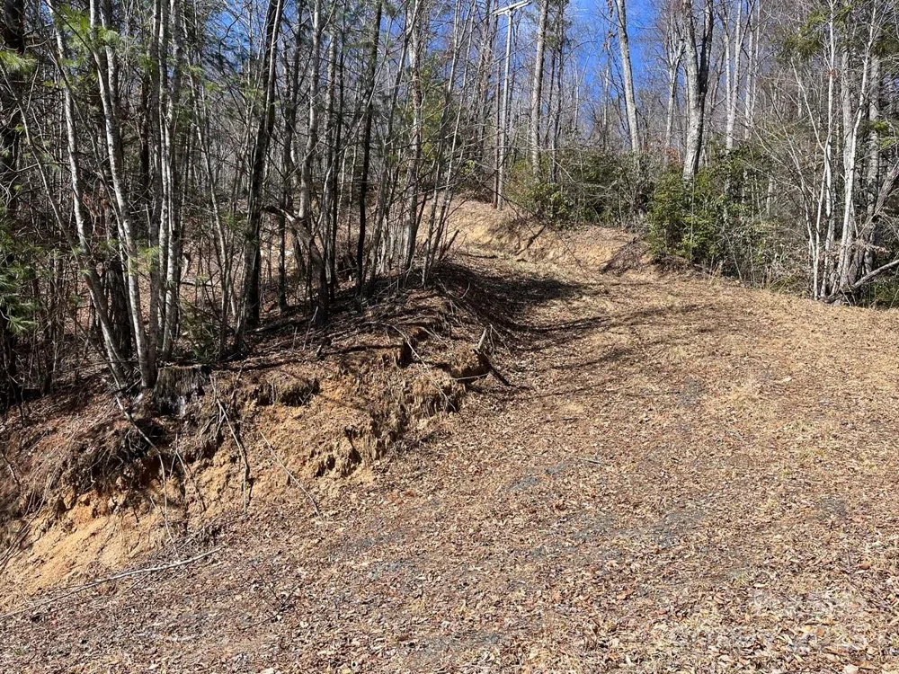 000 Trinity Place Burnsville, NC 28714