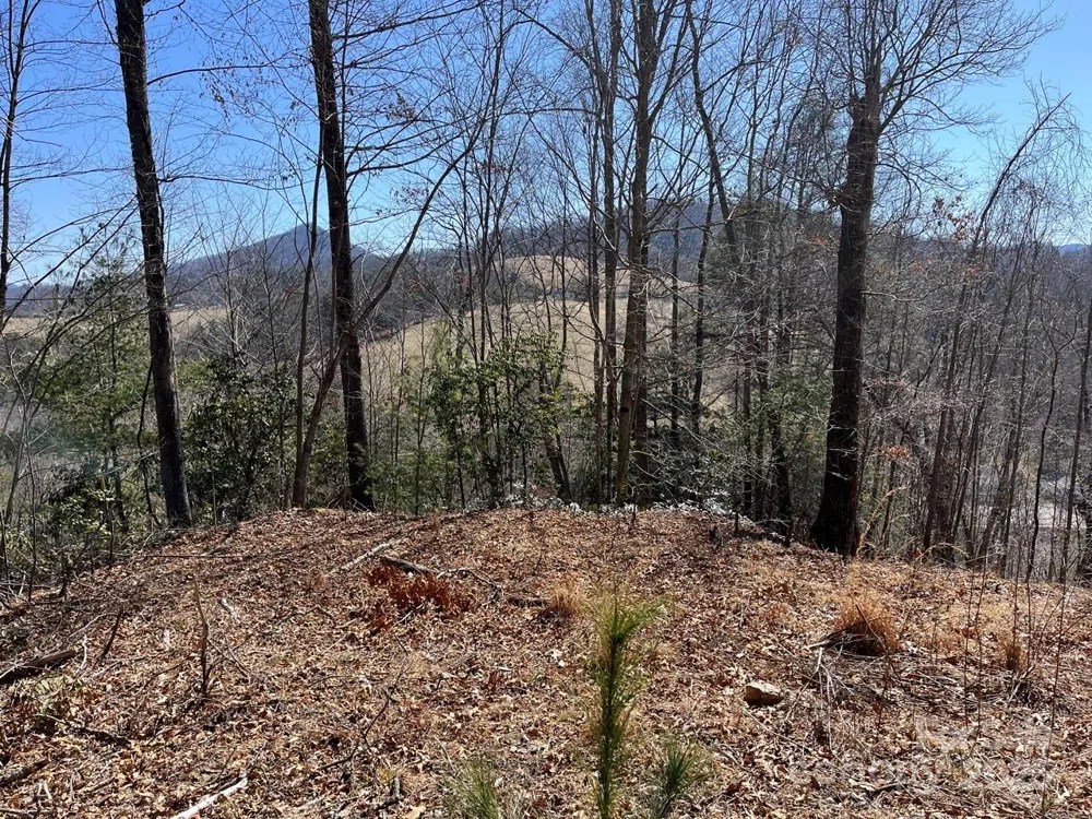 000 Trinity Place Burnsville, NC 28714