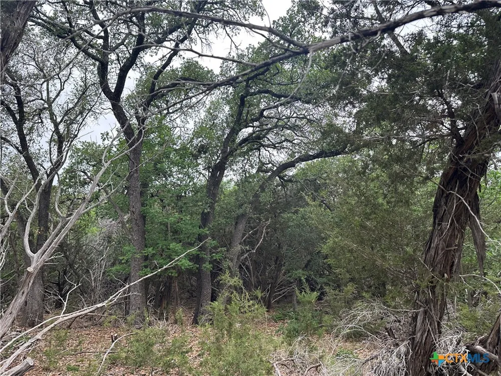 126 Cottonwood Drive Gatesville, TX 76528