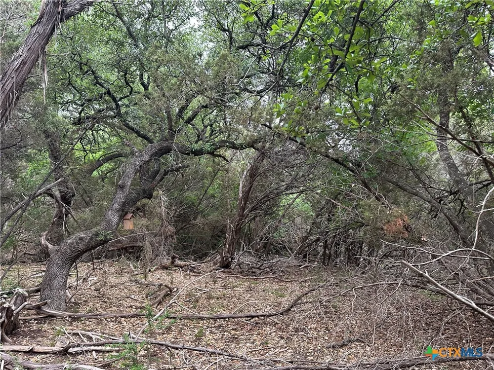 126 Cottonwood Drive Gatesville, TX 76528