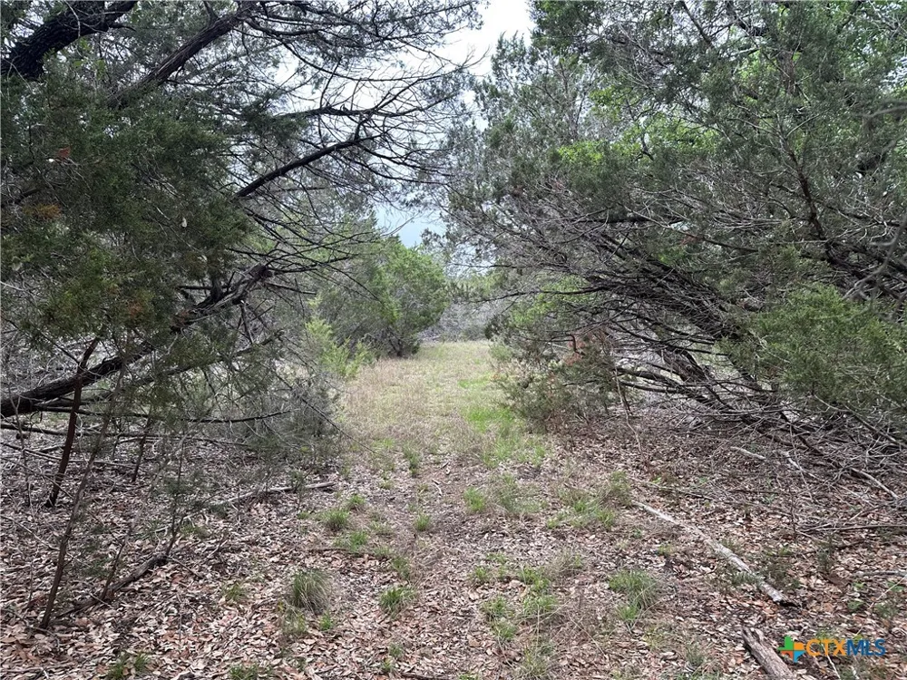 126 Cottonwood Drive Gatesville, TX 76528