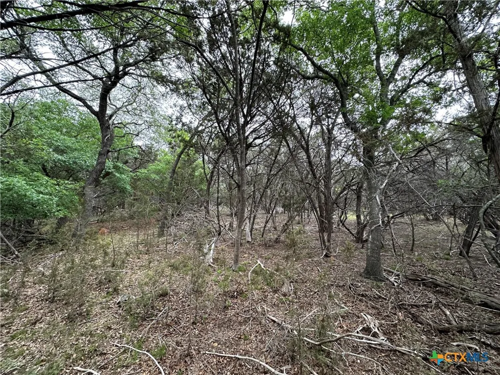 126 Cottonwood Drive Gatesville, TX 76528