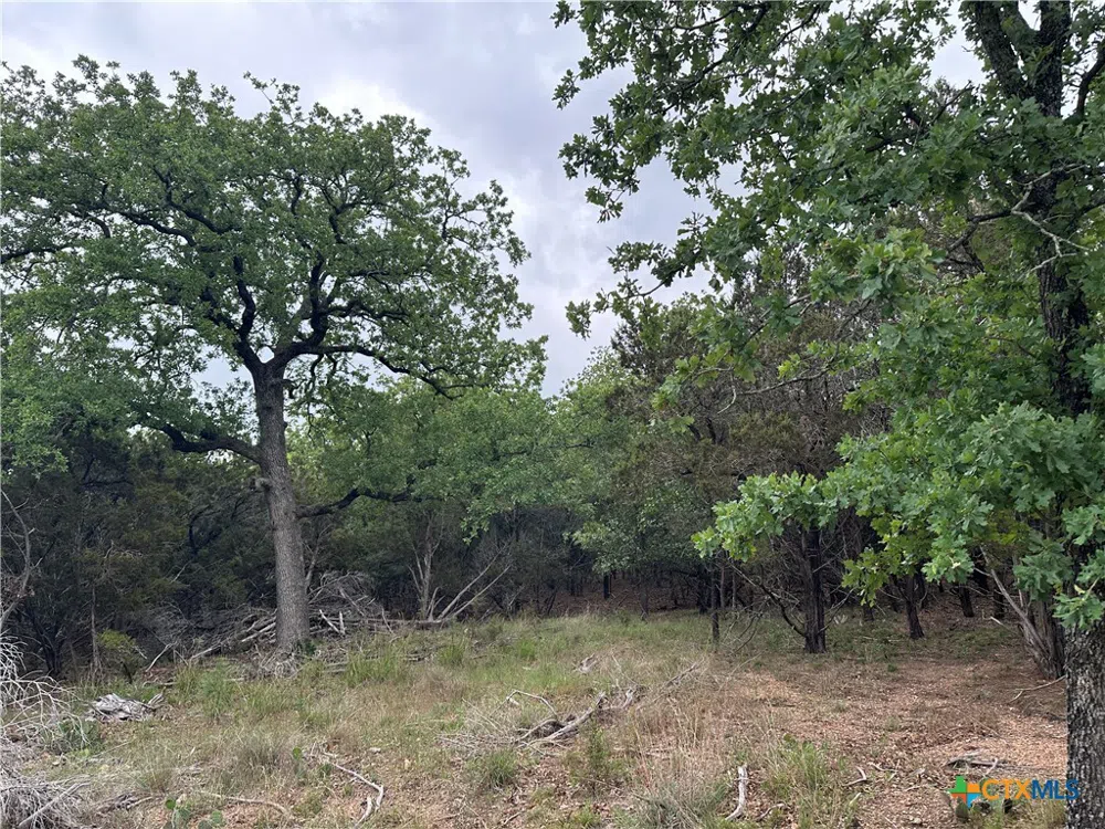 126 Cottonwood Drive Gatesville, TX 76528