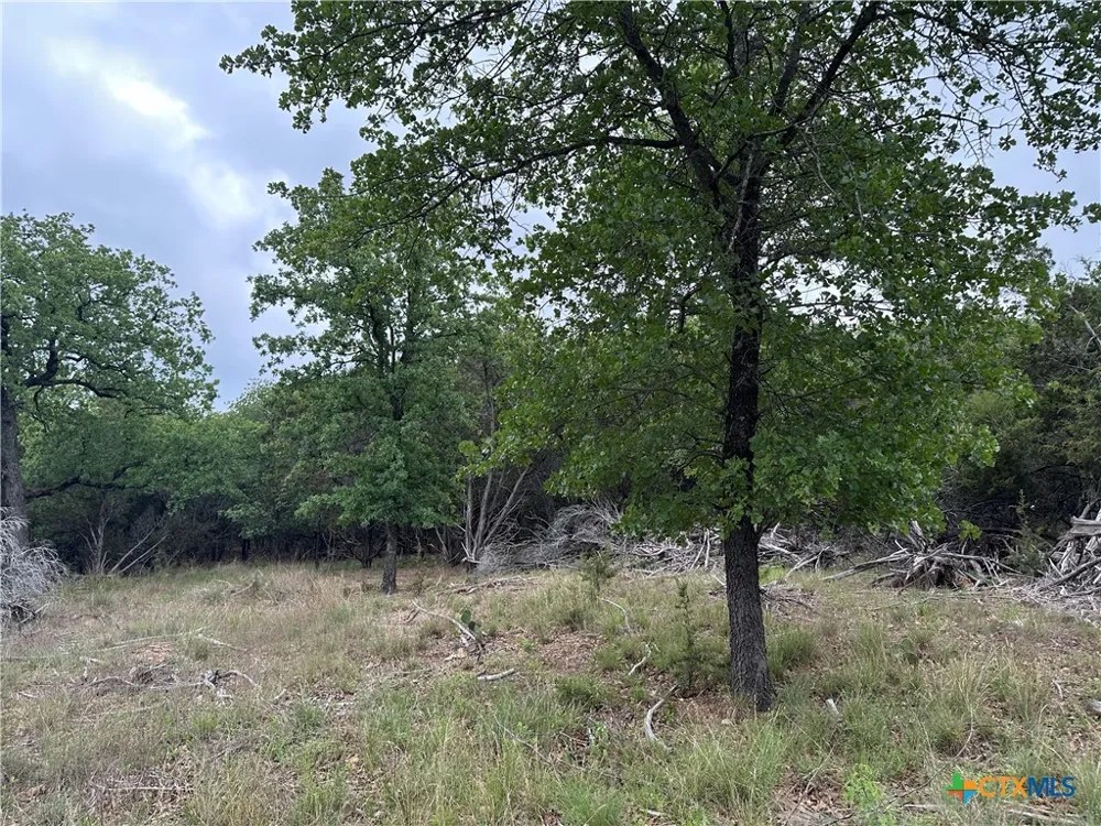126 Cottonwood Drive Gatesville, TX 76528