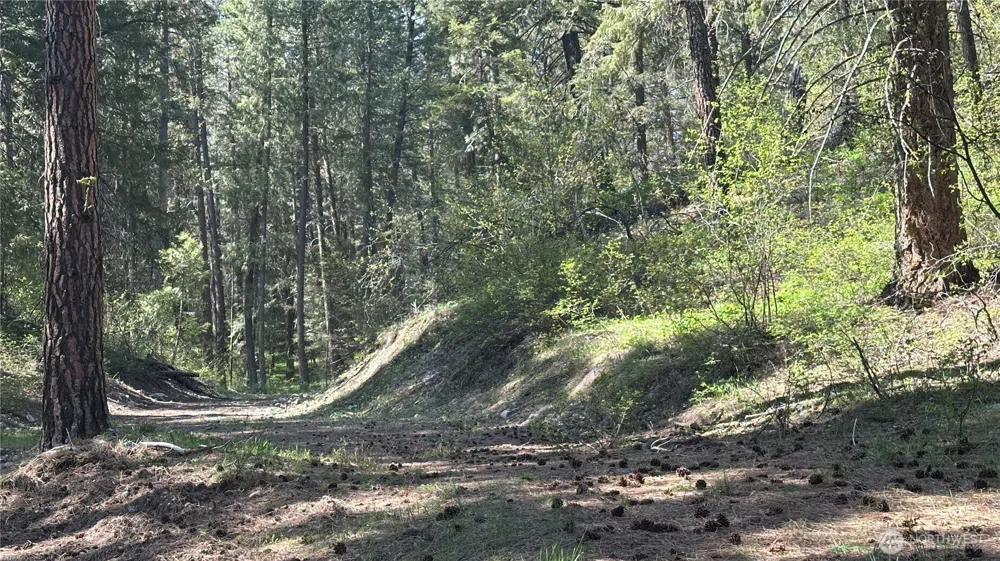 13 Sundance Lane Winthrop, WA 98862